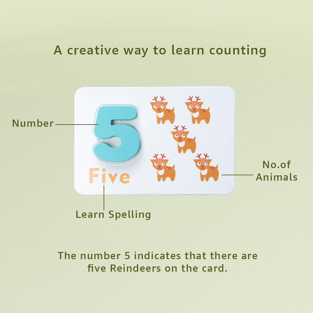 Maths Learning Kit | Learn Math & Counting with Flashcards and Numbers | Wooden Arithmetic Interactive Educational Fun Activity Kit for Kids Ages 3 and Up (Multicolor)