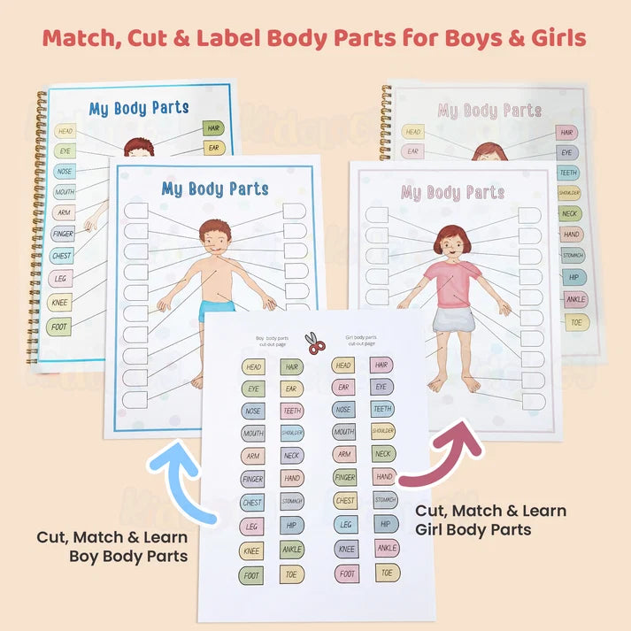 Kidology Human Anatomy Busy Book | Interactive Educational Learning Book