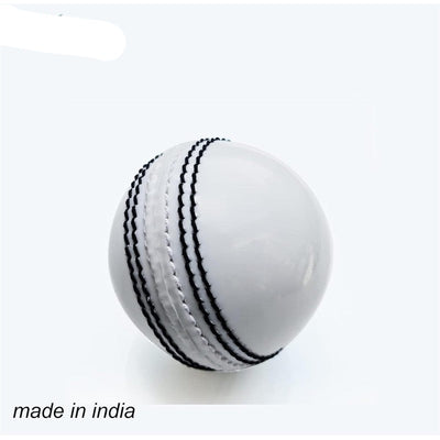 Jaspo Incredi Ball Soft T-20 for Training/Practice Ball (Pack of 2) | All Ages