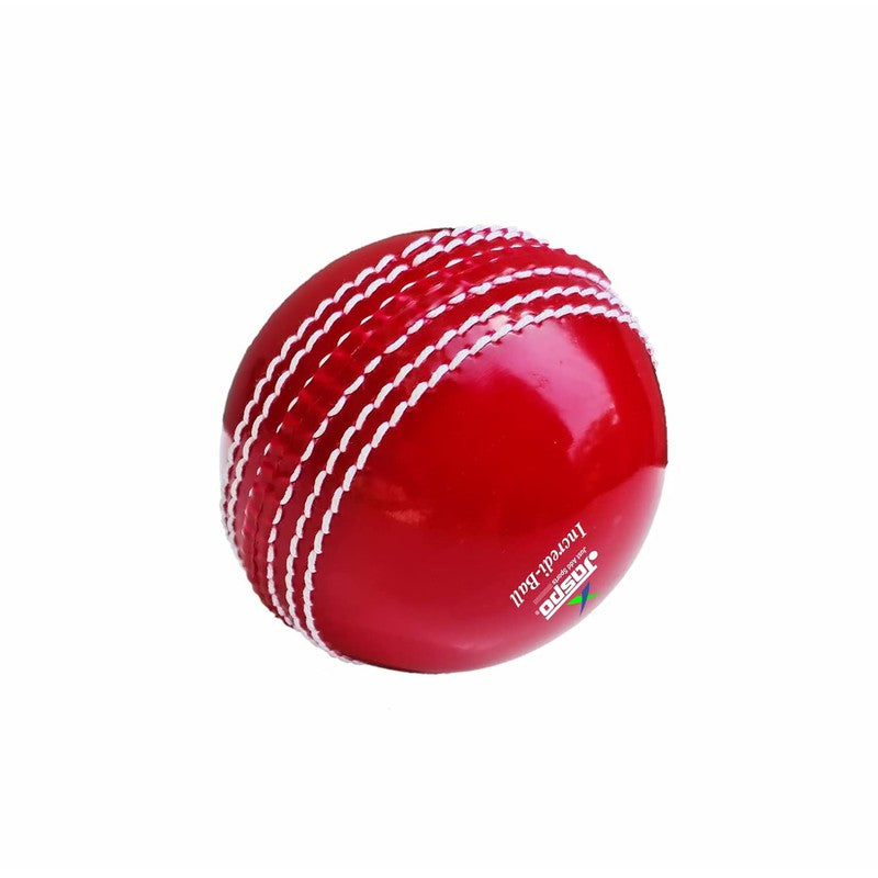 Jaspo Incredi Ball Soft T-20 for Training/Practice Ball (Pack of 6) | All Ages