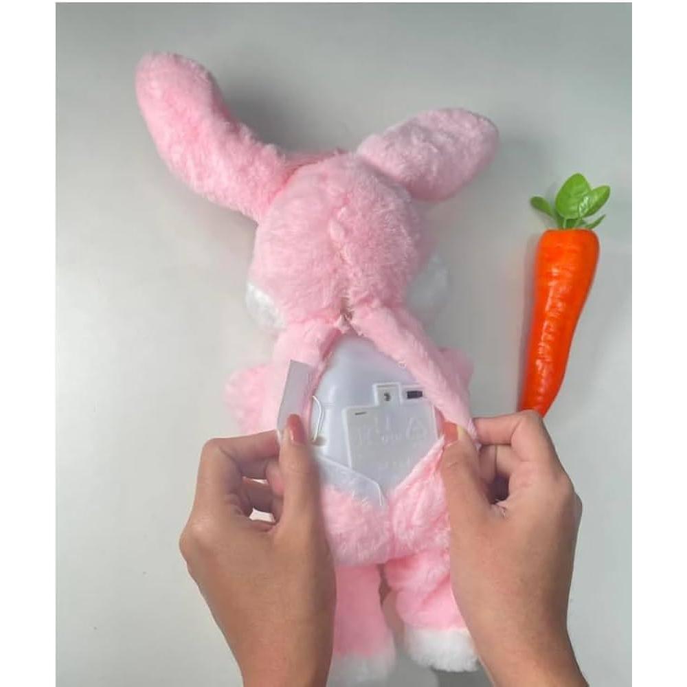 Interactive Rabbit Plush Toy with Carrot | Musical Battery-Operated Soft Toy