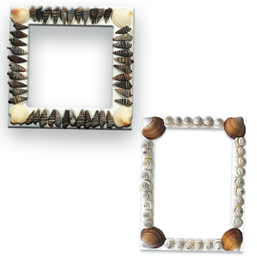 Shell Photo Frames (Craft Kit)