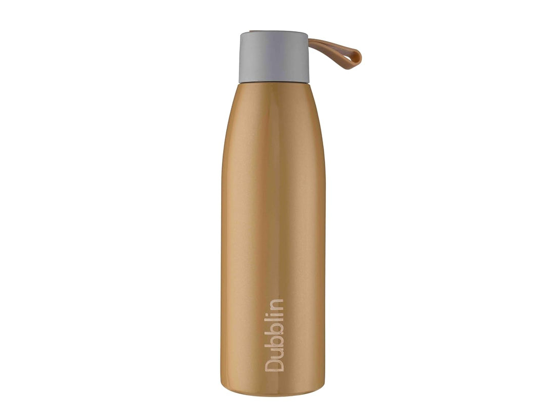 Dubblin Dolphin Insulated Stainless Steel Water Bottle - 550ml | Keeps Water Hot & Cold - Green
