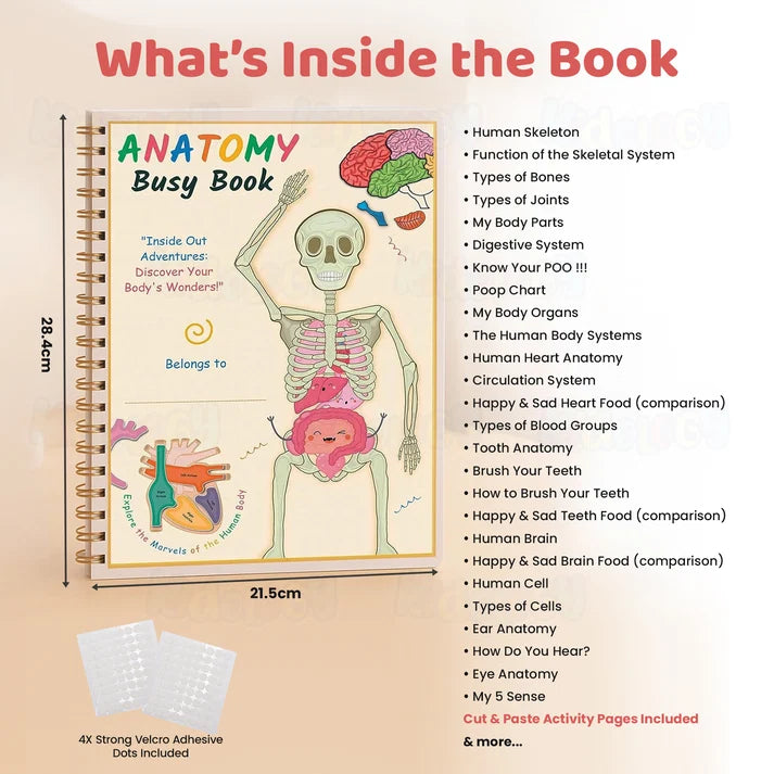 Kidology Human Anatomy Busy Book | Interactive Educational Learning Book