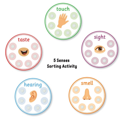 5 Senses Sorting Activity Game