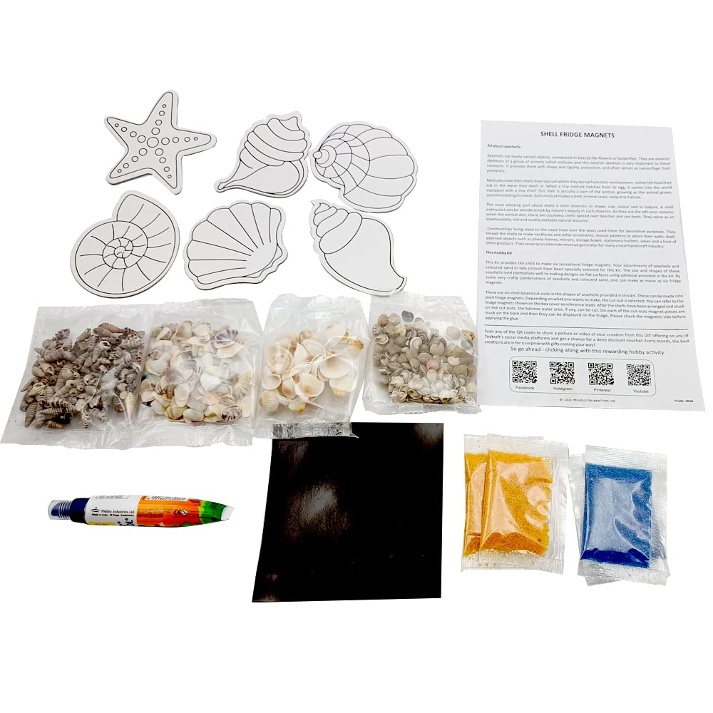 Buy Shell Fridge Magnets Craft Kit (Pack of 5) on Snooplay India