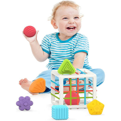 Shape Sorter Montessori Toys For Kids