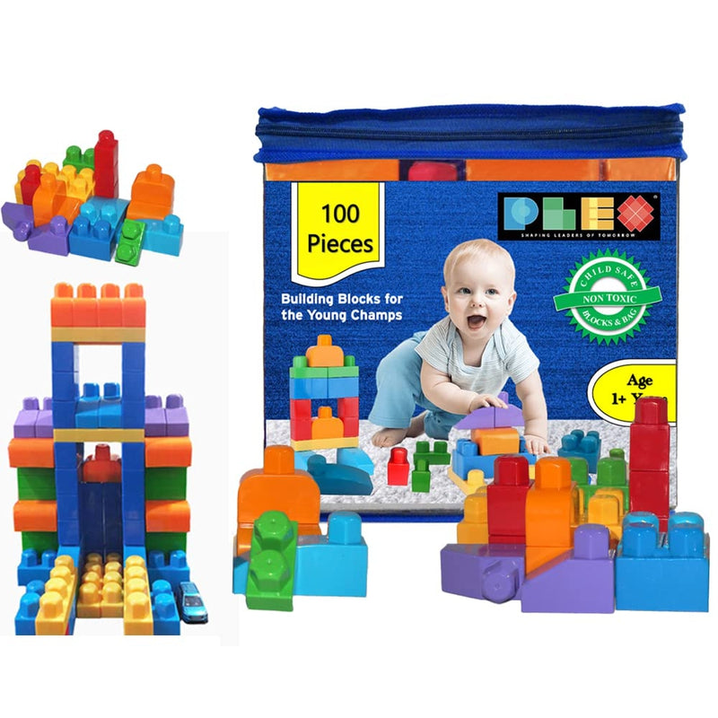 Building & Construction Blocks Educational Toy (Blue Bag - 100 Pieces)