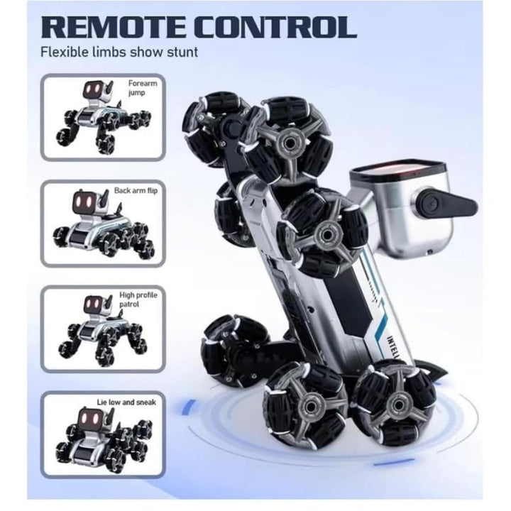 Remote & Watch Control Stunt Robot Dog Toy with Spray Function