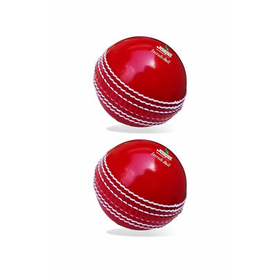 Jaspo Incredi Ball Soft T-20 for Training/Practice Ball (Pack of 2) | All Ages