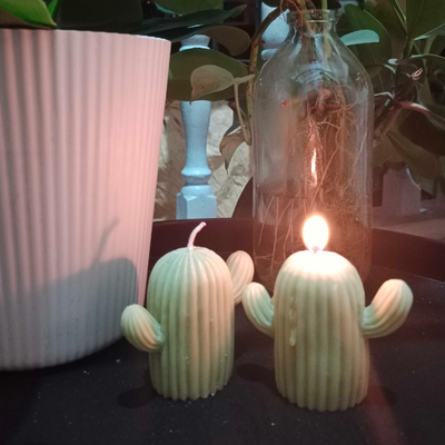 DIY Cactus Candle Kit