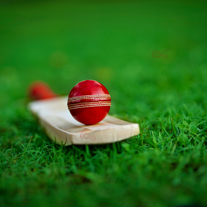 Cricket Leather Ball | 50+ Overs | Club Red