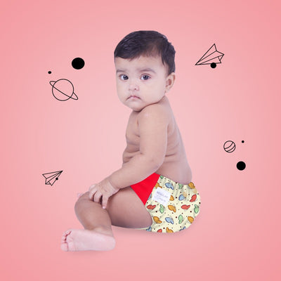 Butterfly Kisses Regular Diaper Freesize Reusable, Waterproof & Washable Cloth Diapers (Fits babies 5-17kgs)