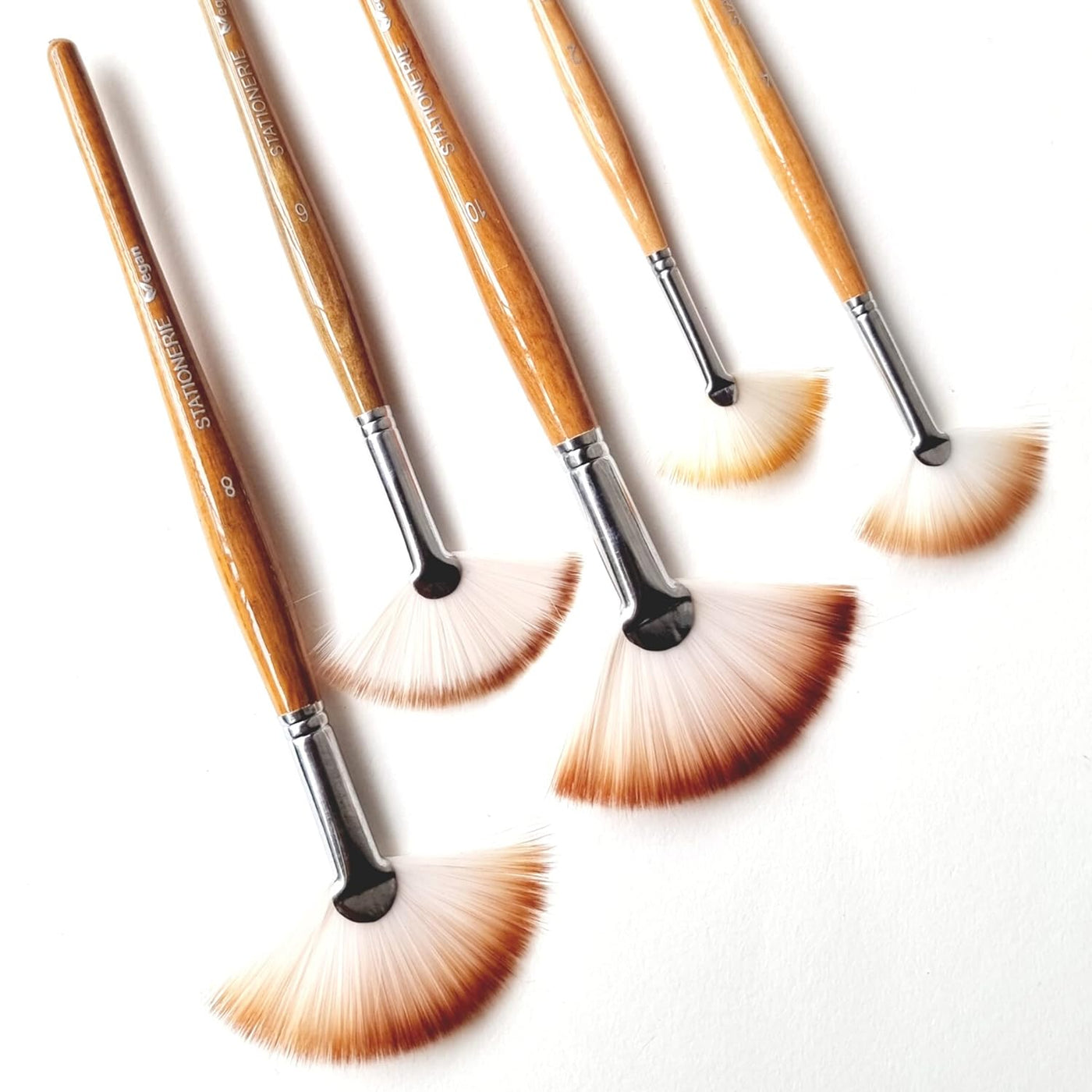 Signature Handcrafted Fan Brush | Set of 5 (2 4 6 8 10) | Suitable for Mixmedia