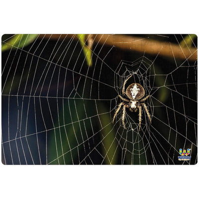 The Spider on the Web Cardboard Jigsaw Puzzle, 252 pieces