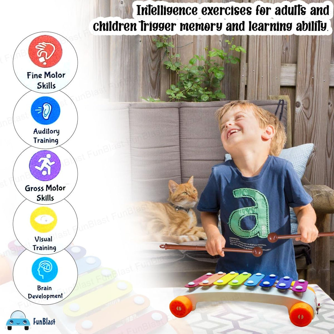 FunBlast Pull Along Musical Xylophone with Wheels for Kids | Early Learning Musical Instrument & Activity Toy