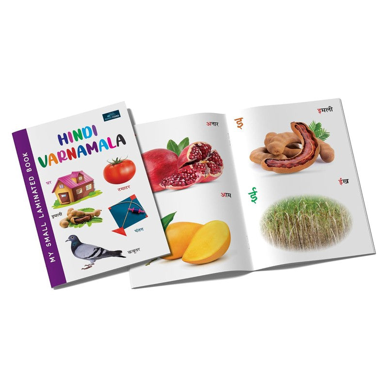 My Small Laminated Book- Hindi Varnmala Books For Kids