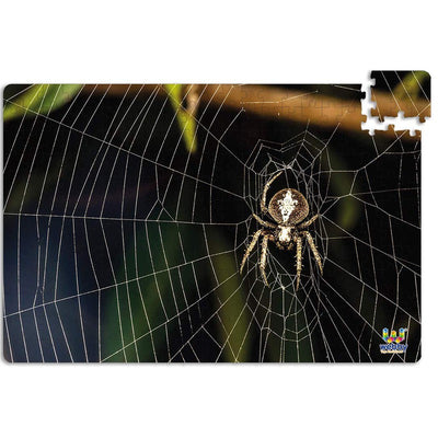 The Spider on the Web Cardboard Jigsaw Puzzle, 252 pieces