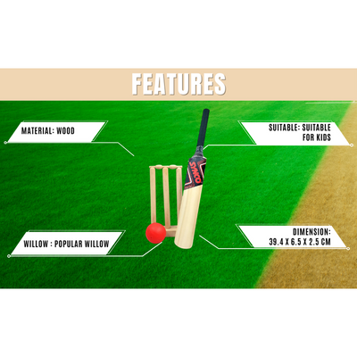 Wooden Mini Cricket Set (1 Poplar Wooden Bat, 1 Wicket with Stump and Base, 1 Plastic Ball)