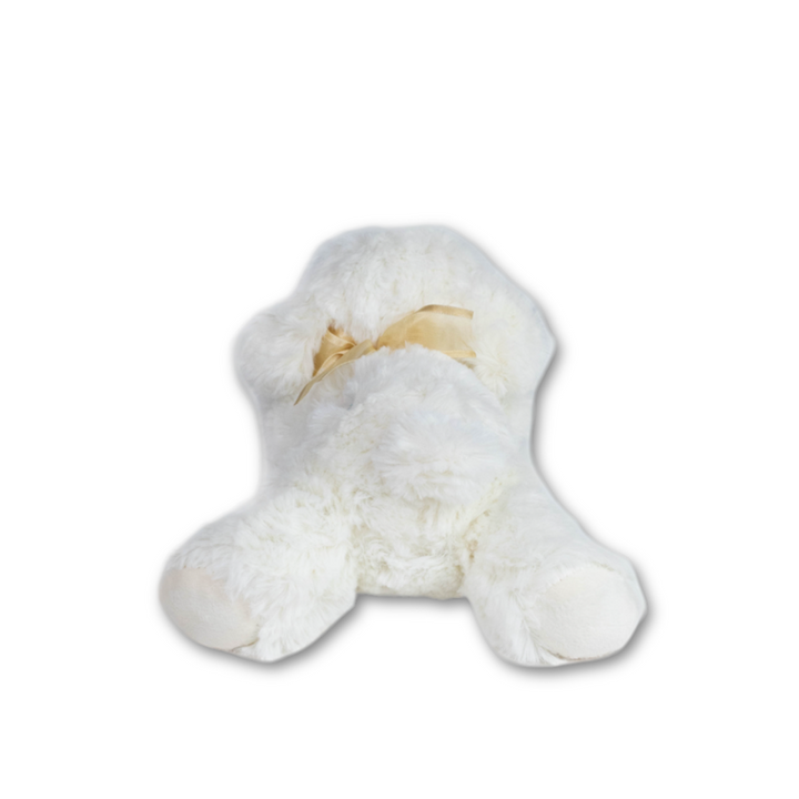 Cute White Dog Stuffed Animal Soft Toy (6 Months - 7 Years)