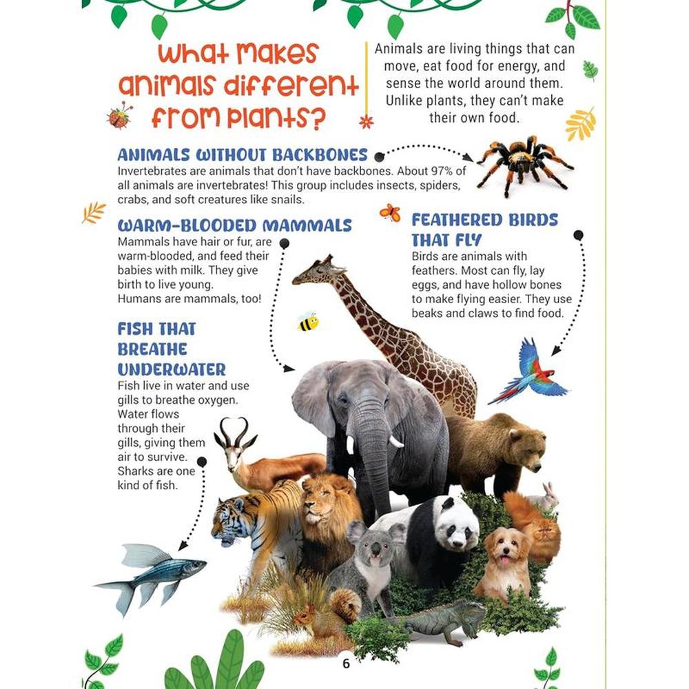 Dreamland Publications Factopedia Book - Amazing Facts for Curious Minds (7-12 Years)