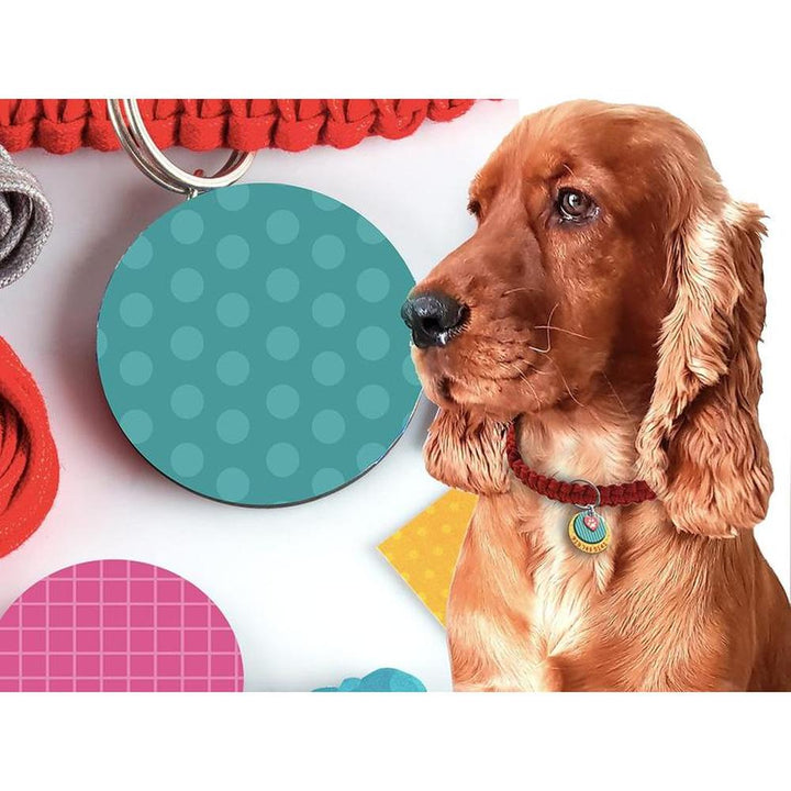 Chalk & Chuckles DIY Pawfect Creations Craft Kit for Dog Lovers (8 Years till Grown Ups)