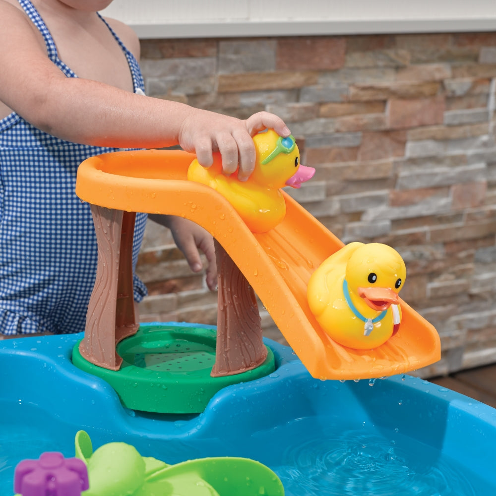 Duck Pond Water Table (COD Not Available)