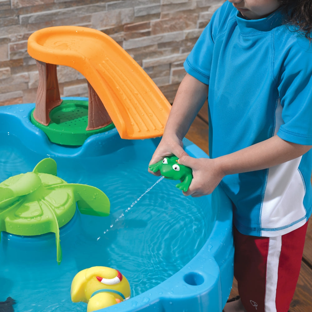 Duck Pond Water Table (COD Not Available)