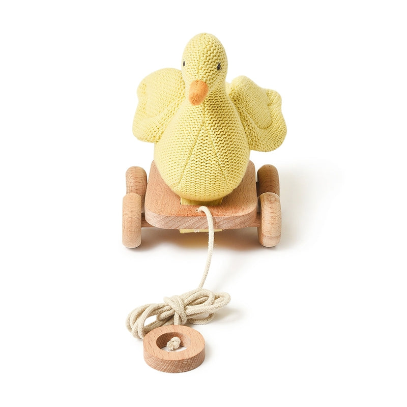 Duck Push & Pull Soft Toy