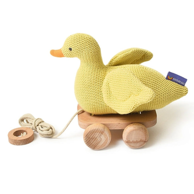 Duck Push & Pull Soft Toy