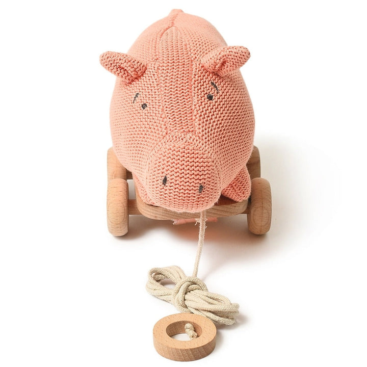 Pig Push & Pull Soft Toy