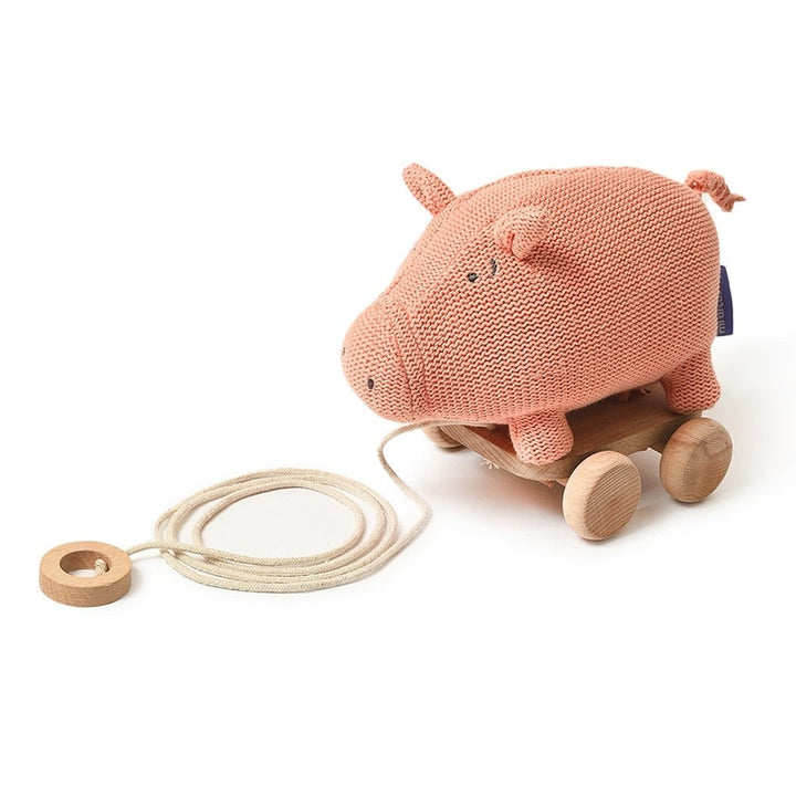 Pig Push & Pull Soft Toy