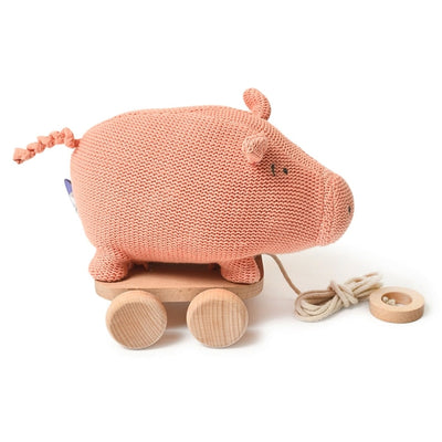 Pig Push & Pull Soft Toy