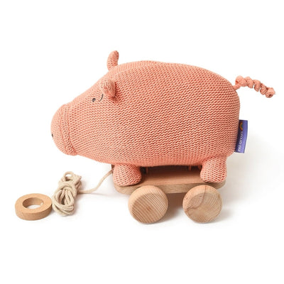 Pig Push & Pull Soft Toy