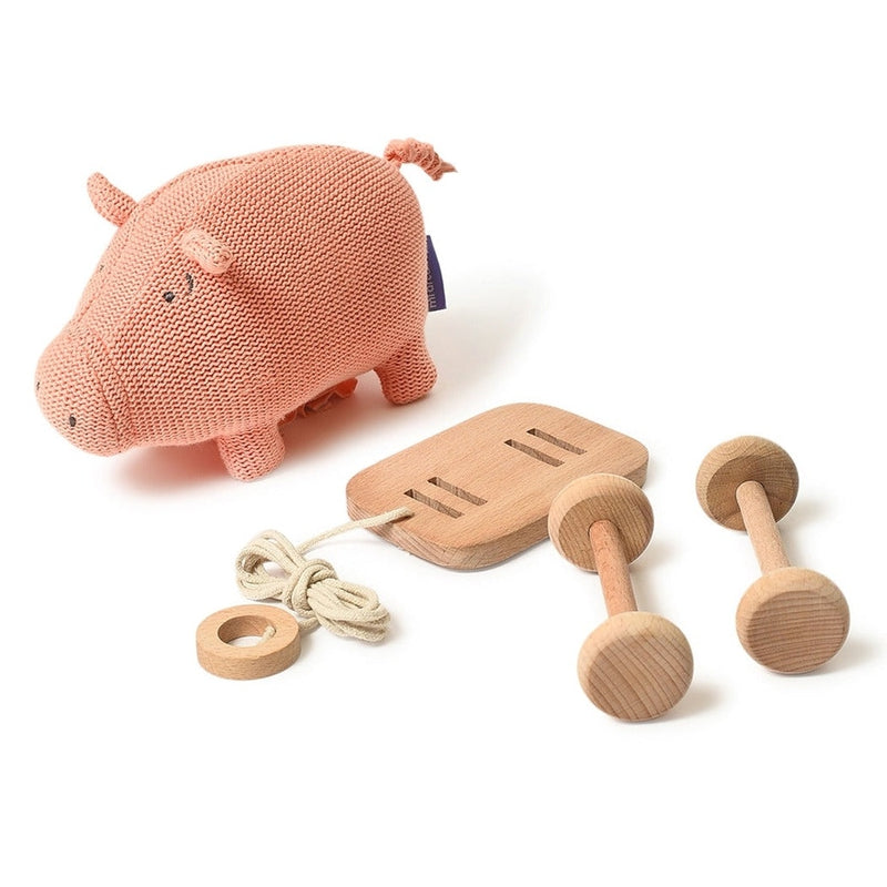 Pig Push & Pull Soft Toy