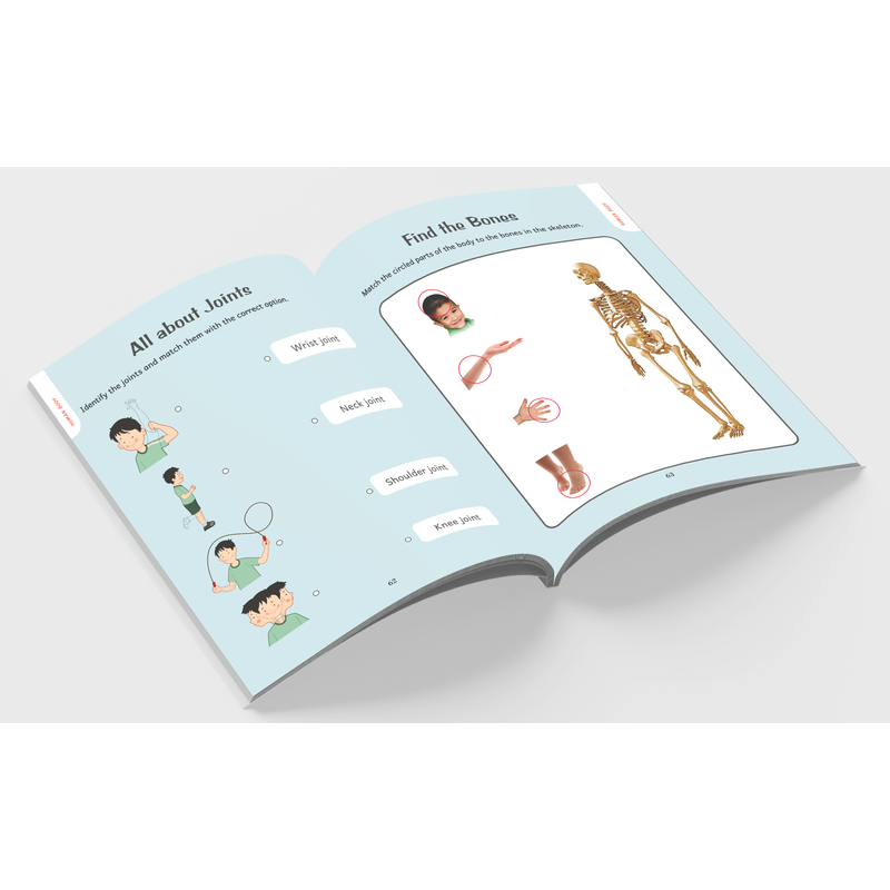 Activities Book of Human Body Health and Fitness