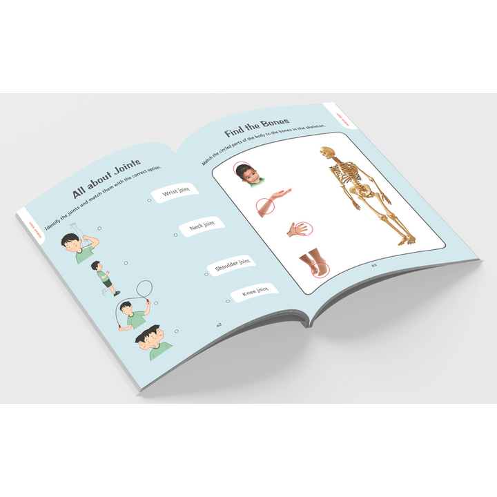 Activities Book of Human Body Health and Fitness