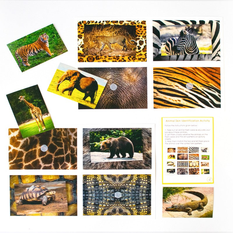 Animals Theme Learning Activity Box