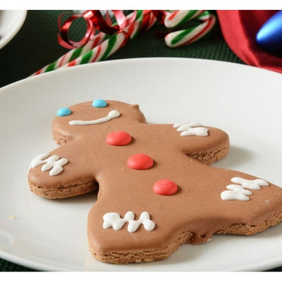 Gingerbread Fam Jam (House of Cookie Kit) | COD Not Available