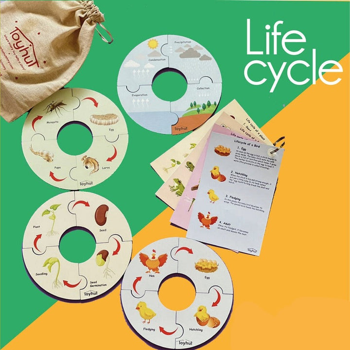 Life cycle - Puzzle Game