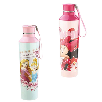 Disney Elements 600 Original Licensed Insulated Water Bottle - Disney Princess and Minnie Mouse