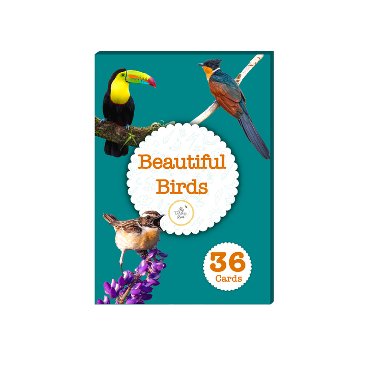 Beautiful Birds Flash Cards for Kids