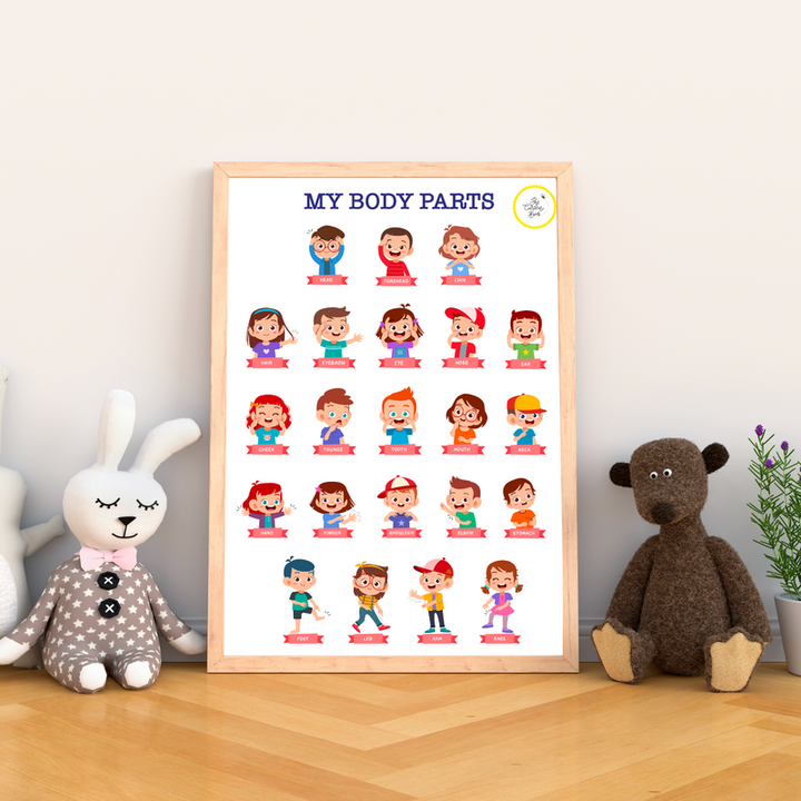 Body Parts Poster for Kids