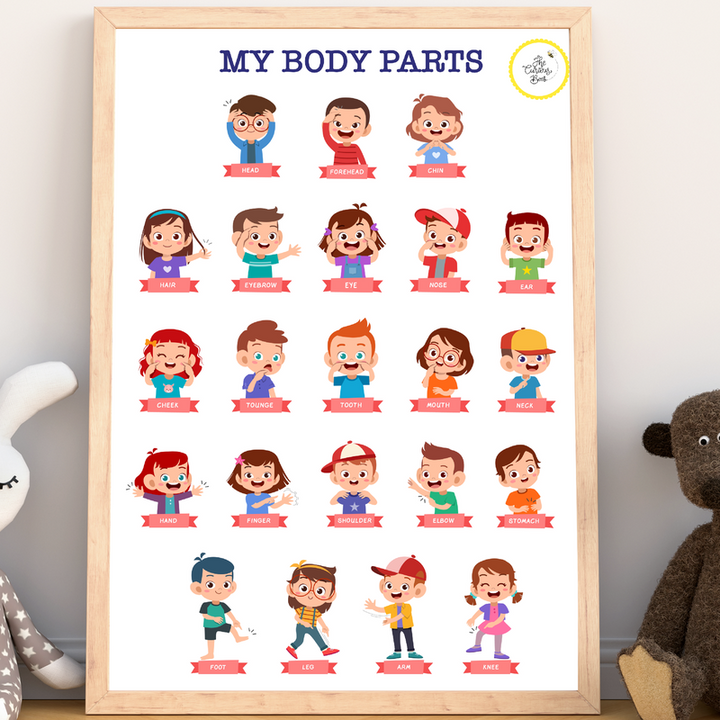 Body Parts Poster for Kids