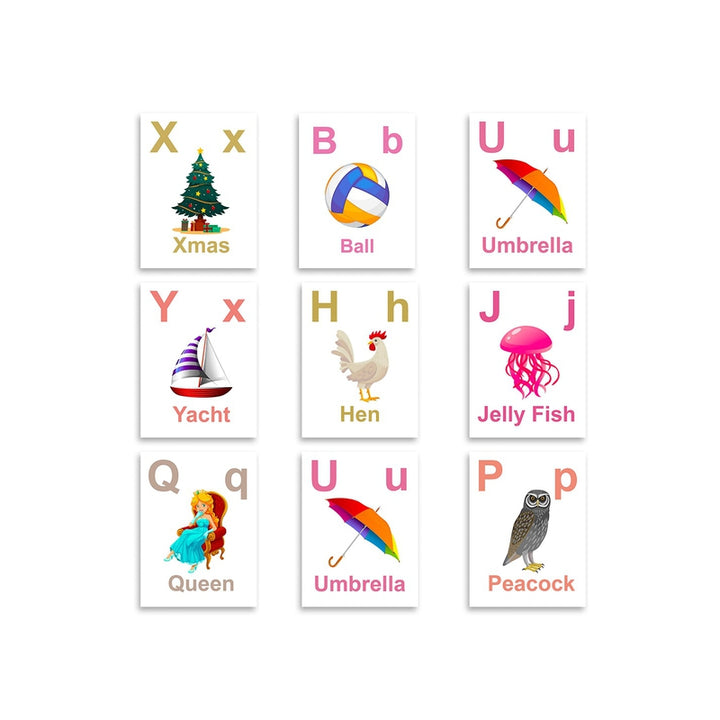 Baby's First Alphabets Flash Cards