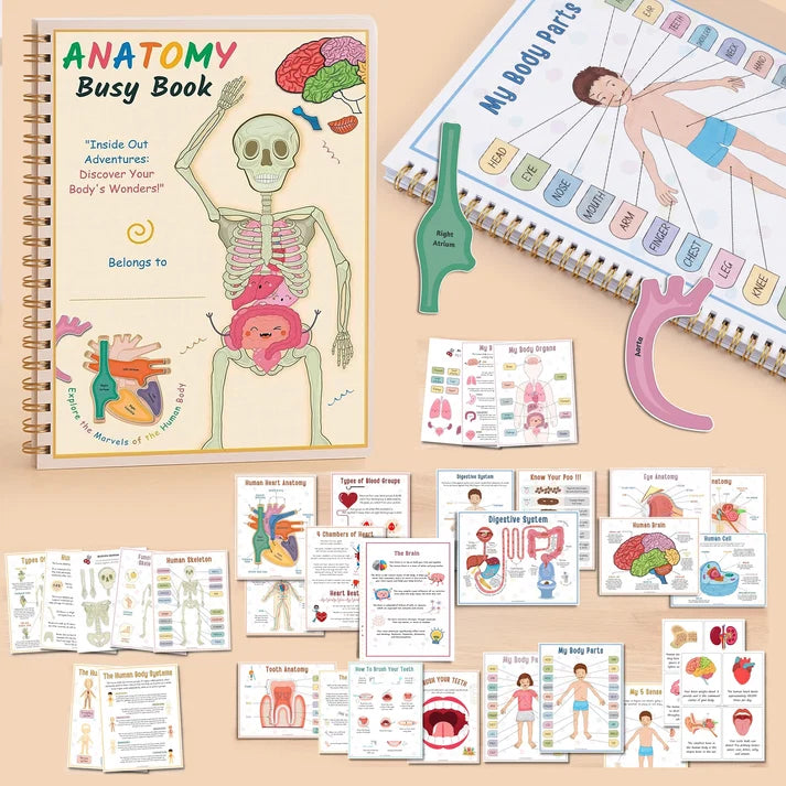 Kidology Human Anatomy Busy Book | Interactive Educational Learning Book