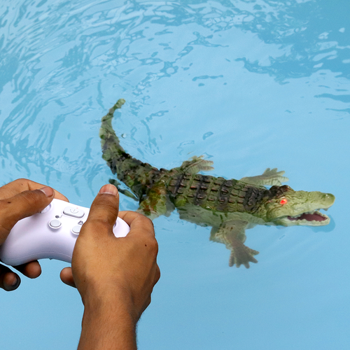 Remote Control Crocodile Toy with Glowing Eyes | Swims Only in Water (5-10 Years)