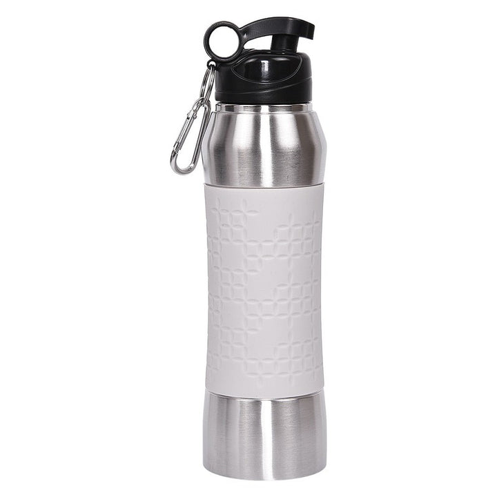 Silica Stainless Steel Sports Bottle (750ml)