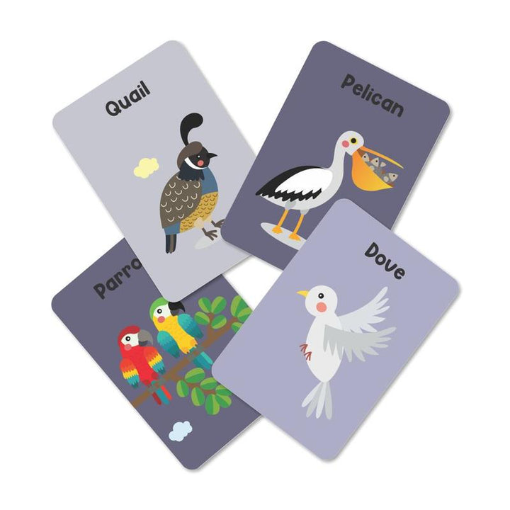 Pack of 24 Birds Flash Cards (2-5 Years)