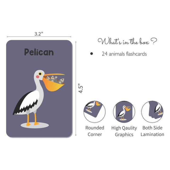 Pack of 24 Birds Flash Cards (2-5 Years)